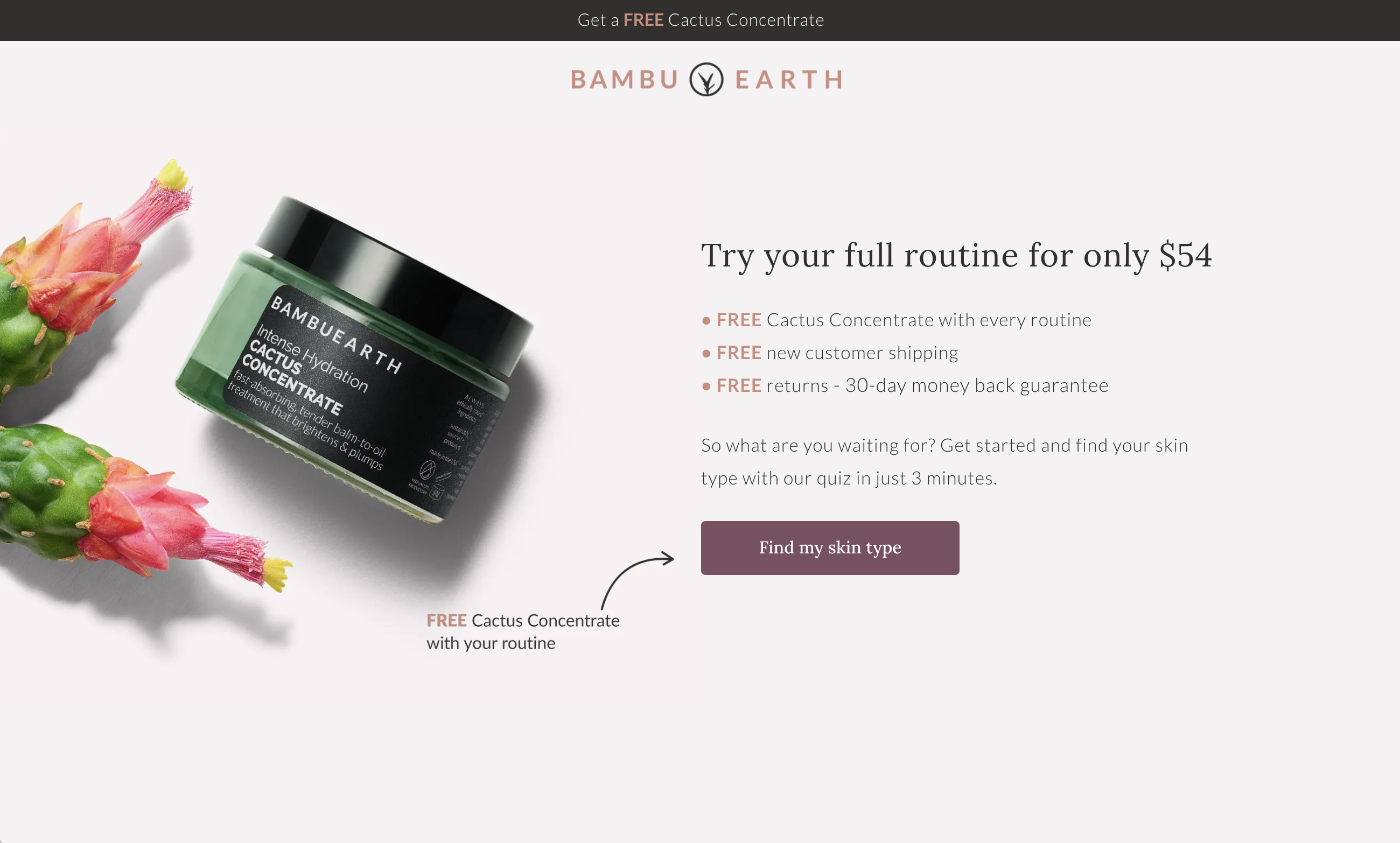 Bambu Earth Quiz Start