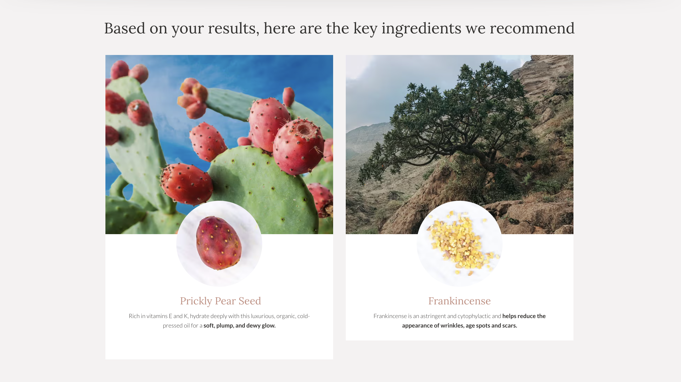 Bambu Earth Quiz Results