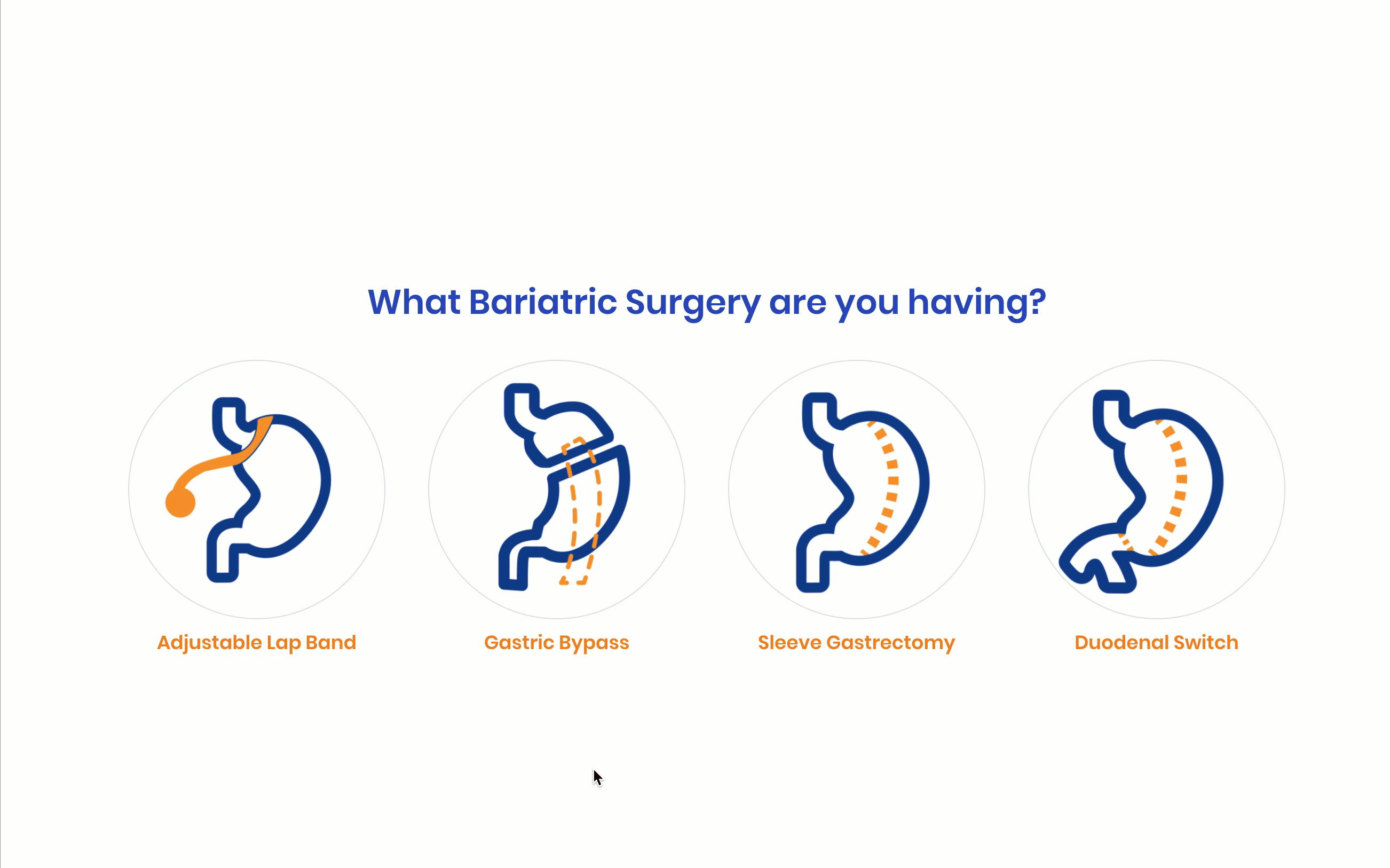 Bariatric Fusion